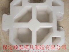 贵州生态护坡塑料模具|水利生态护坡模具图2