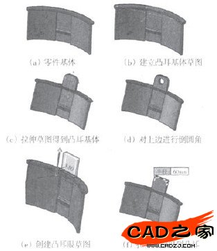 图3凸耳的建构流程